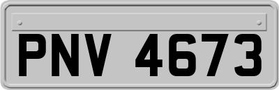 PNV4673