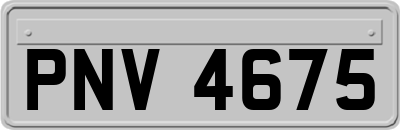 PNV4675