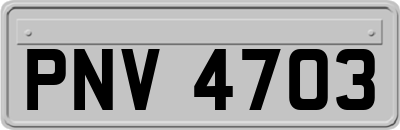 PNV4703