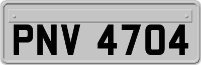 PNV4704