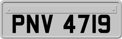 PNV4719