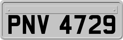PNV4729