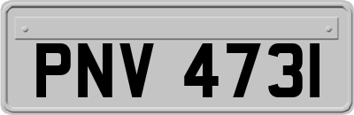 PNV4731