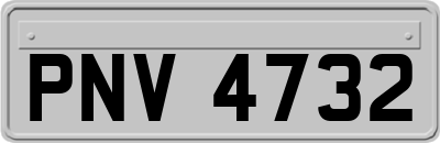 PNV4732