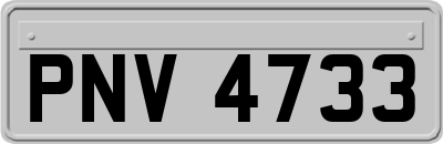 PNV4733
