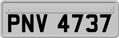 PNV4737