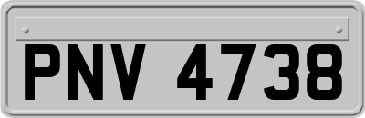 PNV4738