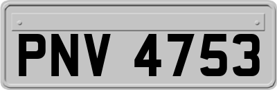 PNV4753