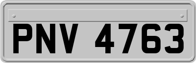 PNV4763