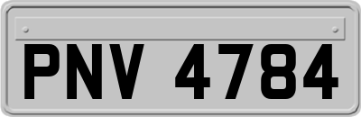 PNV4784