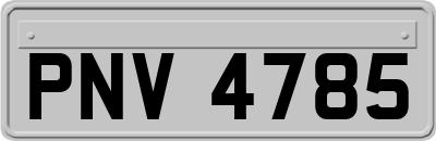 PNV4785