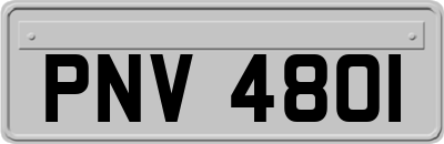 PNV4801