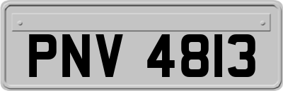 PNV4813