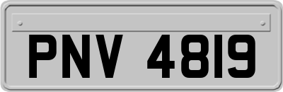 PNV4819