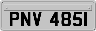 PNV4851