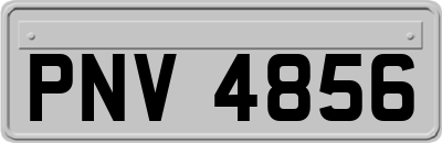 PNV4856