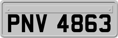 PNV4863