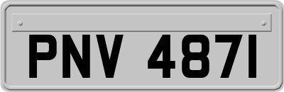 PNV4871