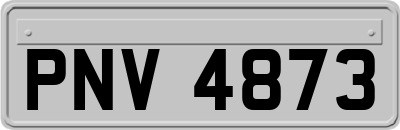 PNV4873
