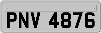 PNV4876