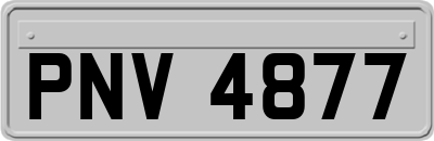 PNV4877