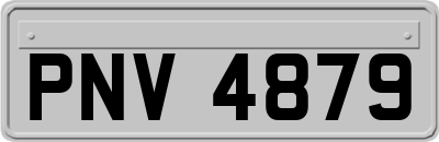 PNV4879