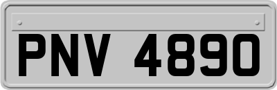 PNV4890