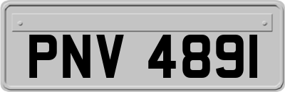 PNV4891
