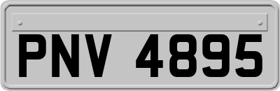 PNV4895