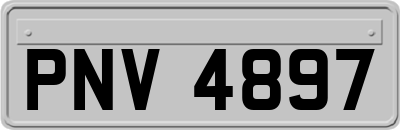 PNV4897