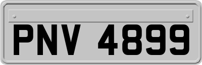 PNV4899