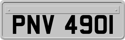 PNV4901