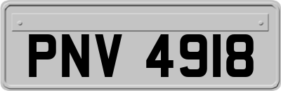 PNV4918