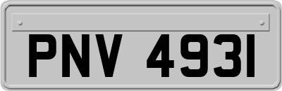 PNV4931