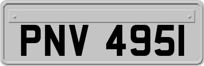 PNV4951