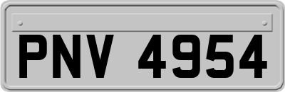 PNV4954
