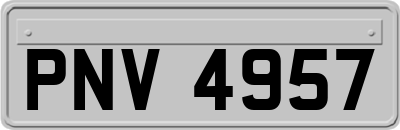PNV4957