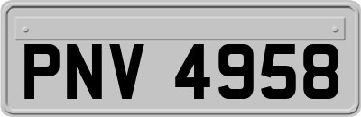 PNV4958