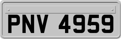 PNV4959