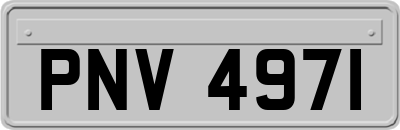 PNV4971