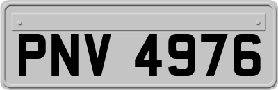 PNV4976