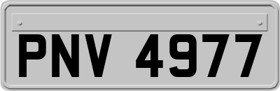 PNV4977