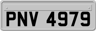 PNV4979