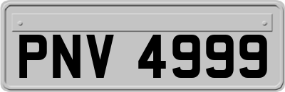 PNV4999