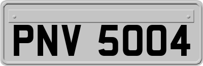 PNV5004