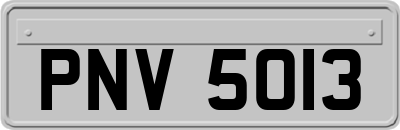 PNV5013