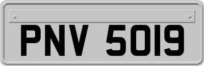 PNV5019