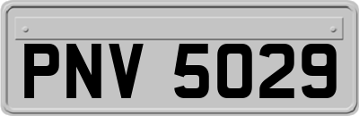 PNV5029