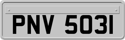 PNV5031