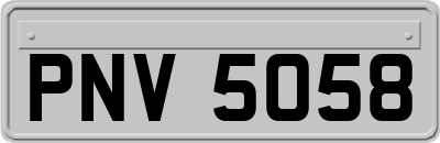 PNV5058
